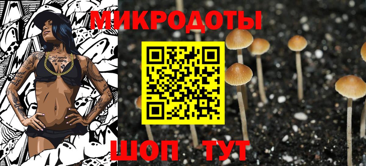 Псилоцибиновые грибы мицелий Первоуральск