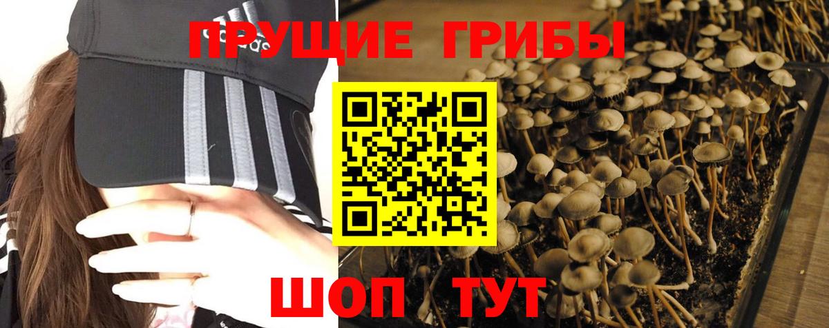 Первоуральск  Псилоцибиновые грибы прущие грибы  Вход с VPN 